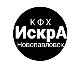 Статистика Дзен КФХ Искра+ (Novopavlovsk)