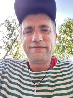 Статистика Дзен дача у лимона