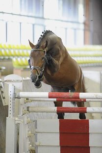 Статистика Дзен HippoLogica: канал М. Политовой 