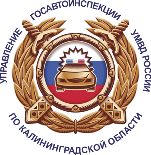 Статистика Дзен ГИБДД 39