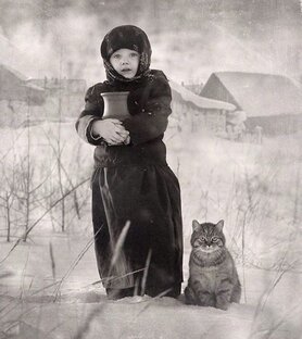 Статистика Дзен Синди и её Кот