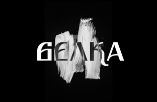 Статистика Дзен БЕЛКА