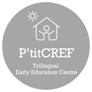 Статистика Дзен P'titCREF. Про детство и языки