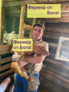 Статистика Дзен Фермер от Бога!