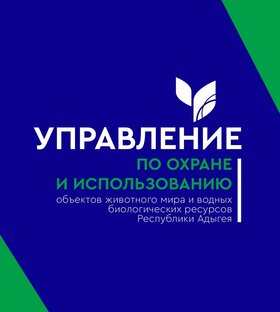 Статистика Дзен Управление по охране и использованию объектов животного мира и водных биологических ресурсов Республики Адыгея