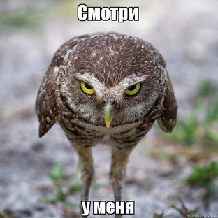 Дзен Сериалы и мультфильмы в высоком качестве статистика