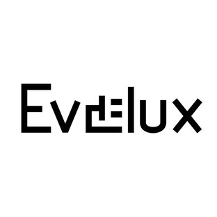 Статистика Дзен Evelux Russia
