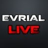 Статистика Дзен Evrial Live