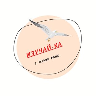 Статистика Дзен Финансовое воспитание (финансовая грамотность и финансовая дисциплина)