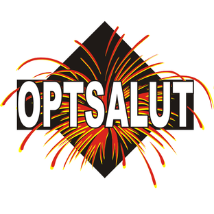 Дзен Оптсалют статистика