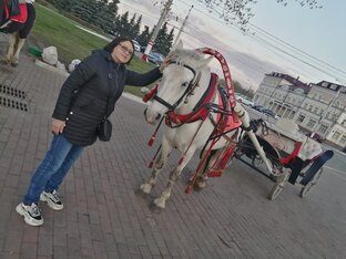 Статистика Дзен Надежда Иванова