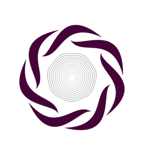 Гистографт материал. «гистографт»ген-активированный материал. Гистографт отчет. Гистографт. «гистографт»ген-активированный материал.