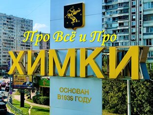 Статистика Дзен Про Всё и Про Химки