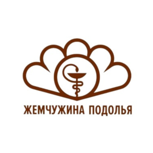Статистика Дзен "Жемчужина Подолья" Подольск