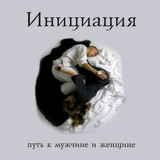 Статистика Дзен Инициация 