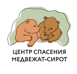 Статистика Дзен Центр спасения медвежат-сирот