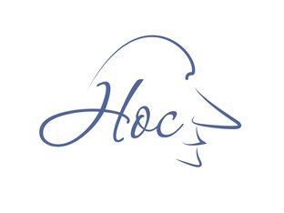 Статистика Дзен Нос
