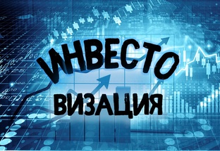 Статистика Дзен Инвестовизация