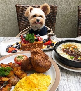 Вкусножрать