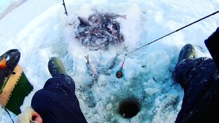 Зимняя рыбалка