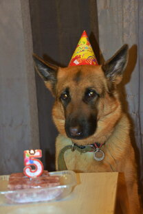 Днюшка у Данушки. 