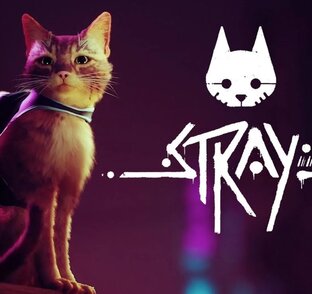Stray
