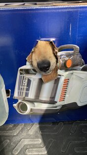 Юмор и добрые истории