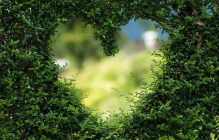 Осознанные отношения