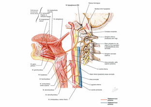 4.1. Транскрипция. Произношение гласных.
