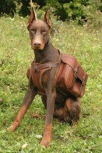 Интересные идеи дизайна