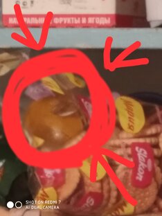 Догадайтесь кто у нас завелся