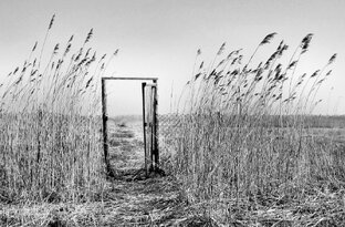 следователь