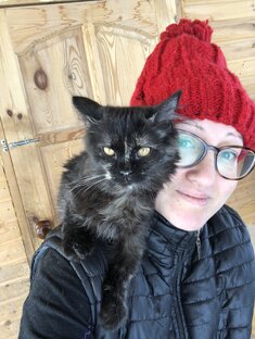 Мамзель Мелоди