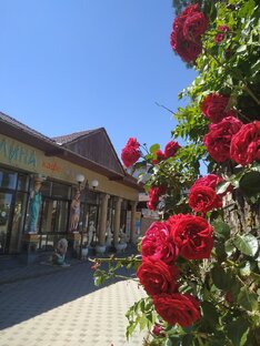г.Анапа 