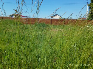 Дачные дела