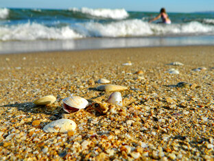 В отпуск, в лагерь, к морю