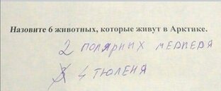 Приколы и зверюшки.