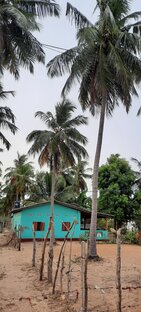 Шри-Ланка 🌴