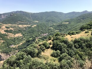 Армения