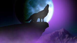 Стихи Рафаиль Занединов