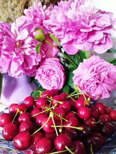 Дача в Севастополе