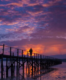 Необъяснимое, которое так хотелось бы объяснить.
