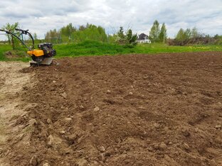 Огородный сезон 2022