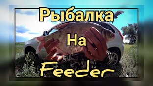 Рыбалка на Фидер