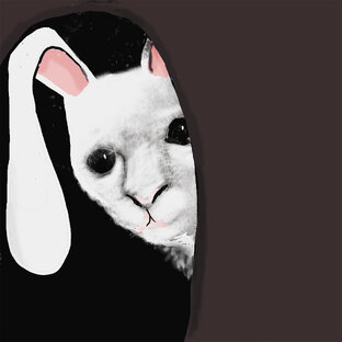 "Белый кролик"