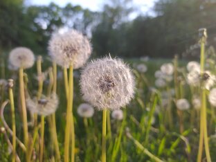 Проза жизни 