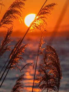 Проза жизни и не только...