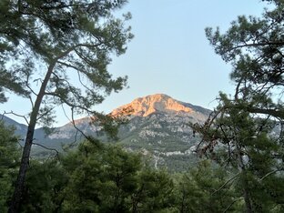 Турецкие приключения