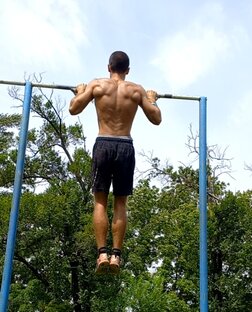 11 дней подтягиваний по Золотому стандарту