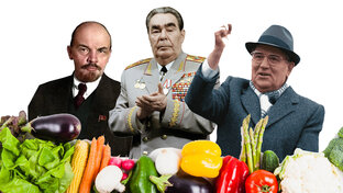 Тесты о политиках